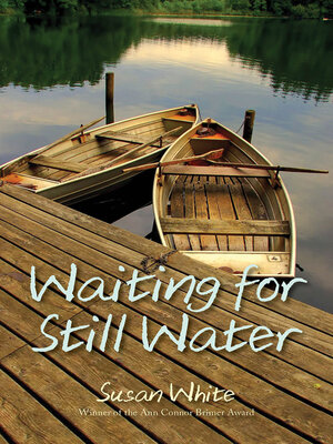 cover image of Waiting for Still Water